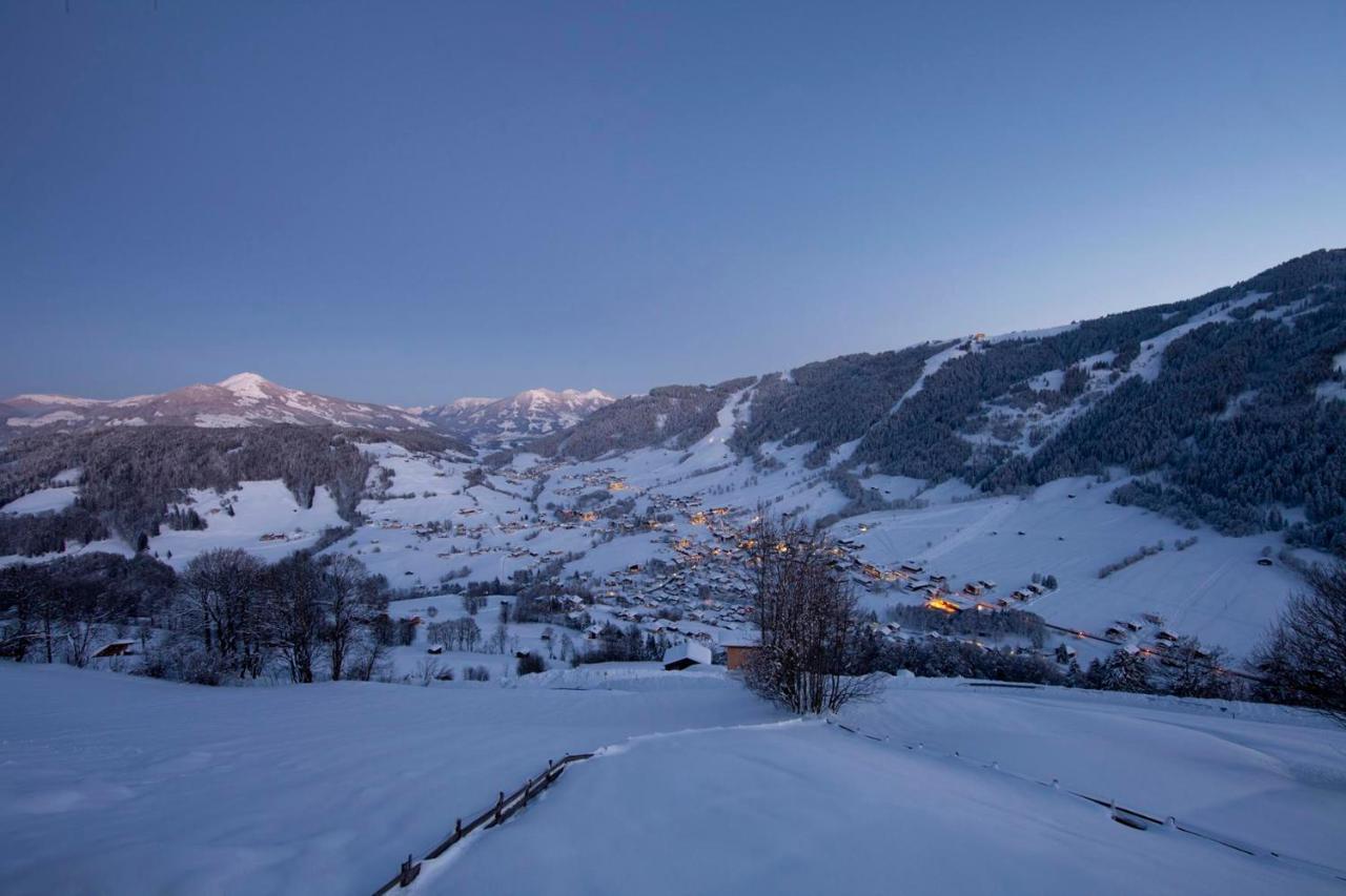 Exklusiv Apartment Sonnenalp Niederau Εξωτερικό φωτογραφία