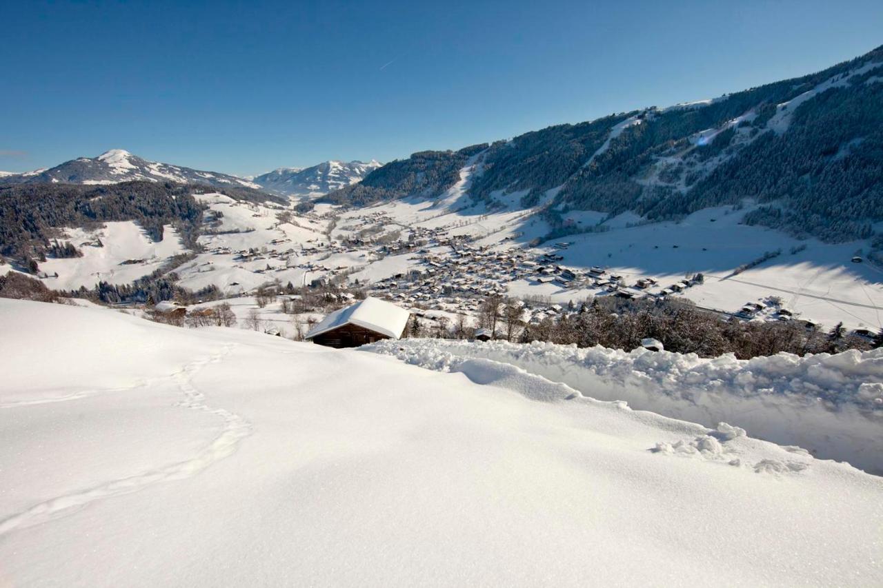 Exklusiv Apartment Sonnenalp Niederau Εξωτερικό φωτογραφία